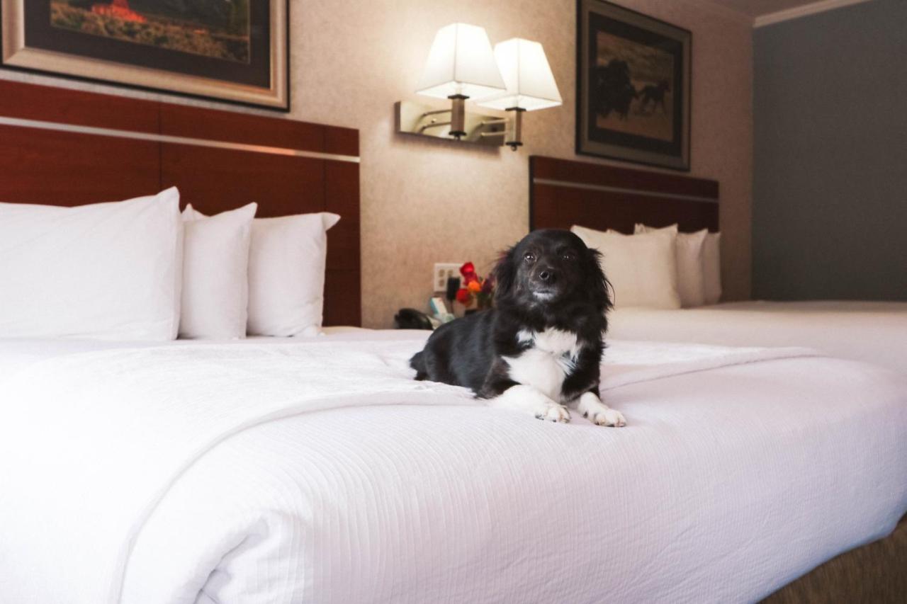 Brandin' Iron Inn West Yellowstone Luaran gambar